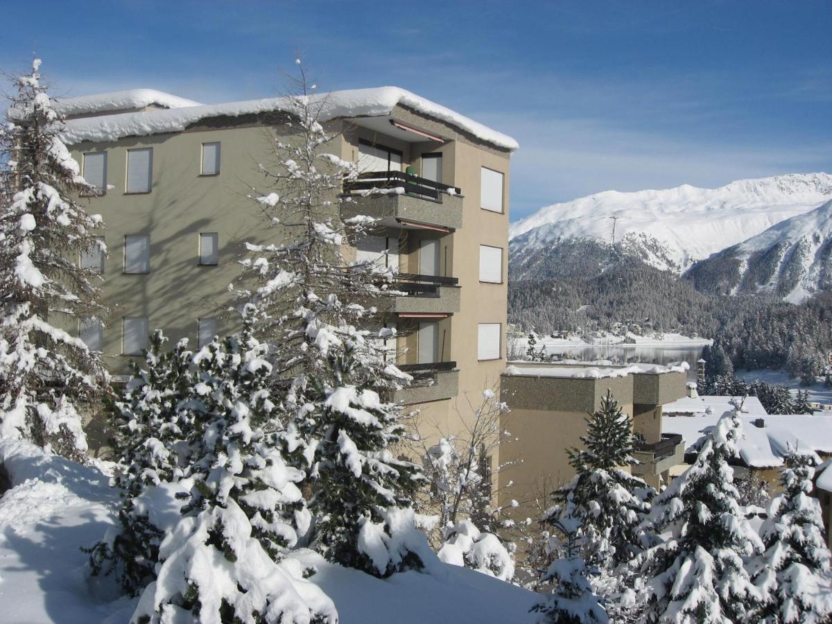 Sankt Moritz Spirit Piz Bernina 5 Daire Dış mekan fotoğraf